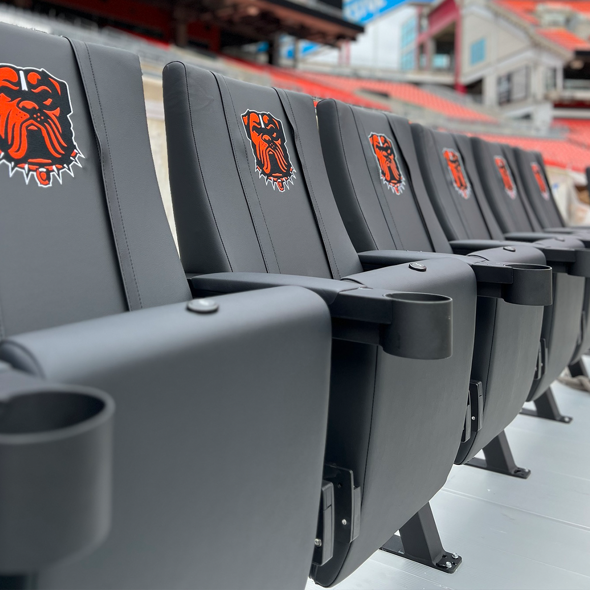 SuiteMax 3.5 VIP Seats with Green Bay Packers Helmet Logo